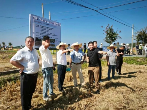 1760324040531681.jpg 640.jpg